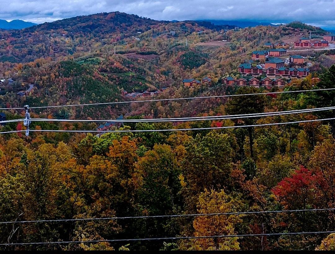 Beautiful mountain view!