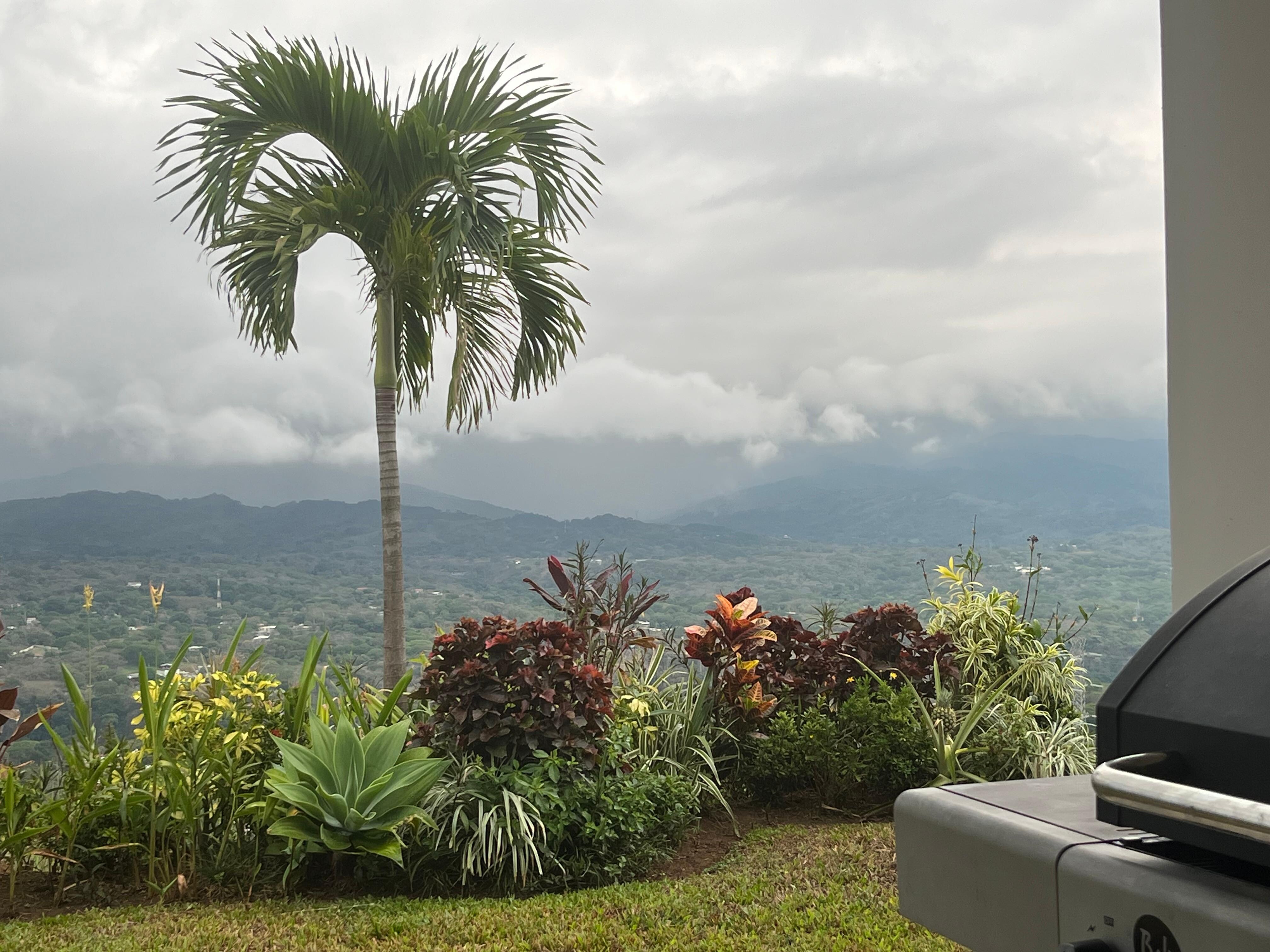 View from back porch area.