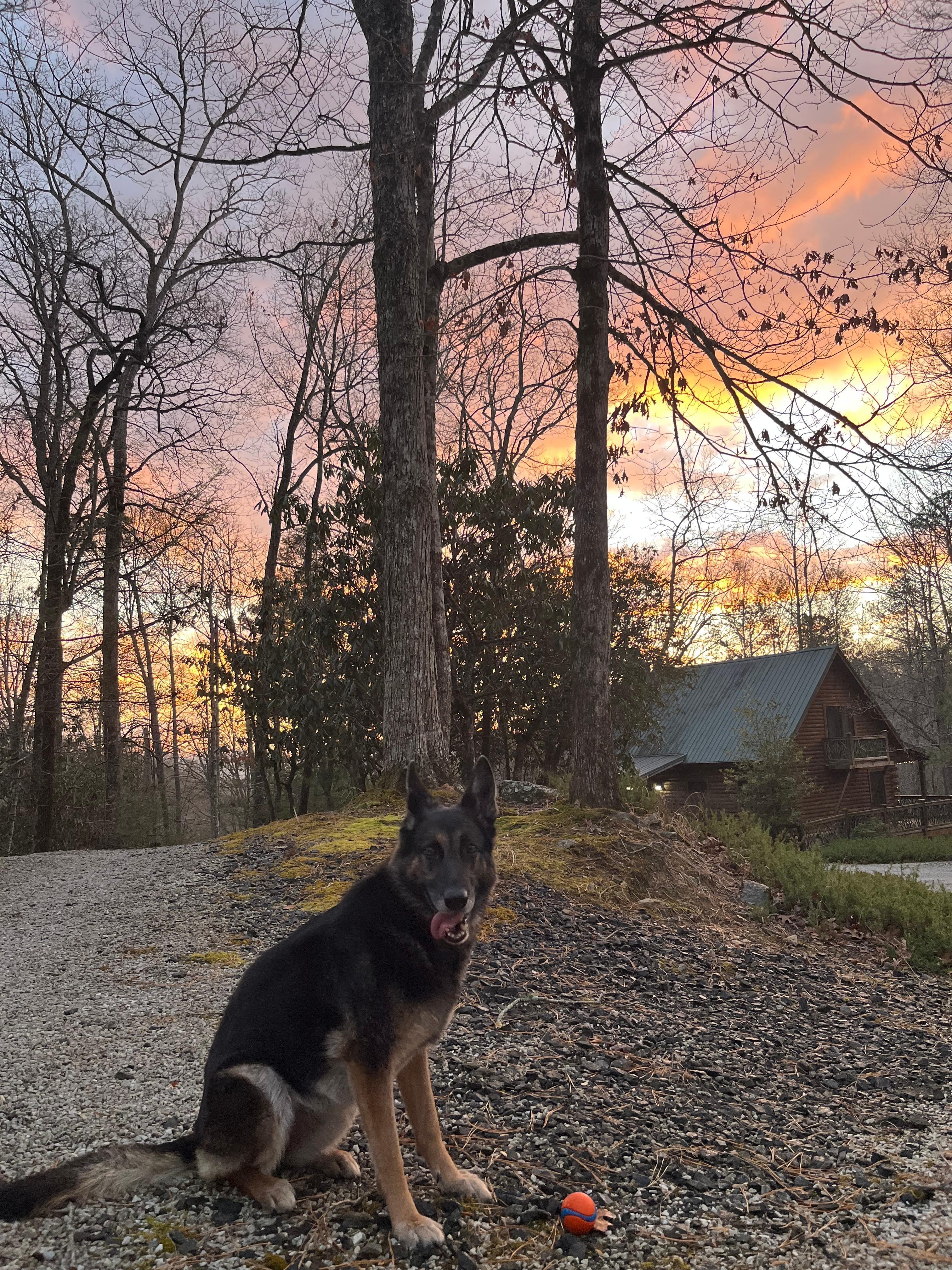 Beautiful sunrises at the cabin!