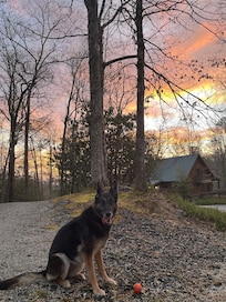 Beautiful sunrises at the cabin!