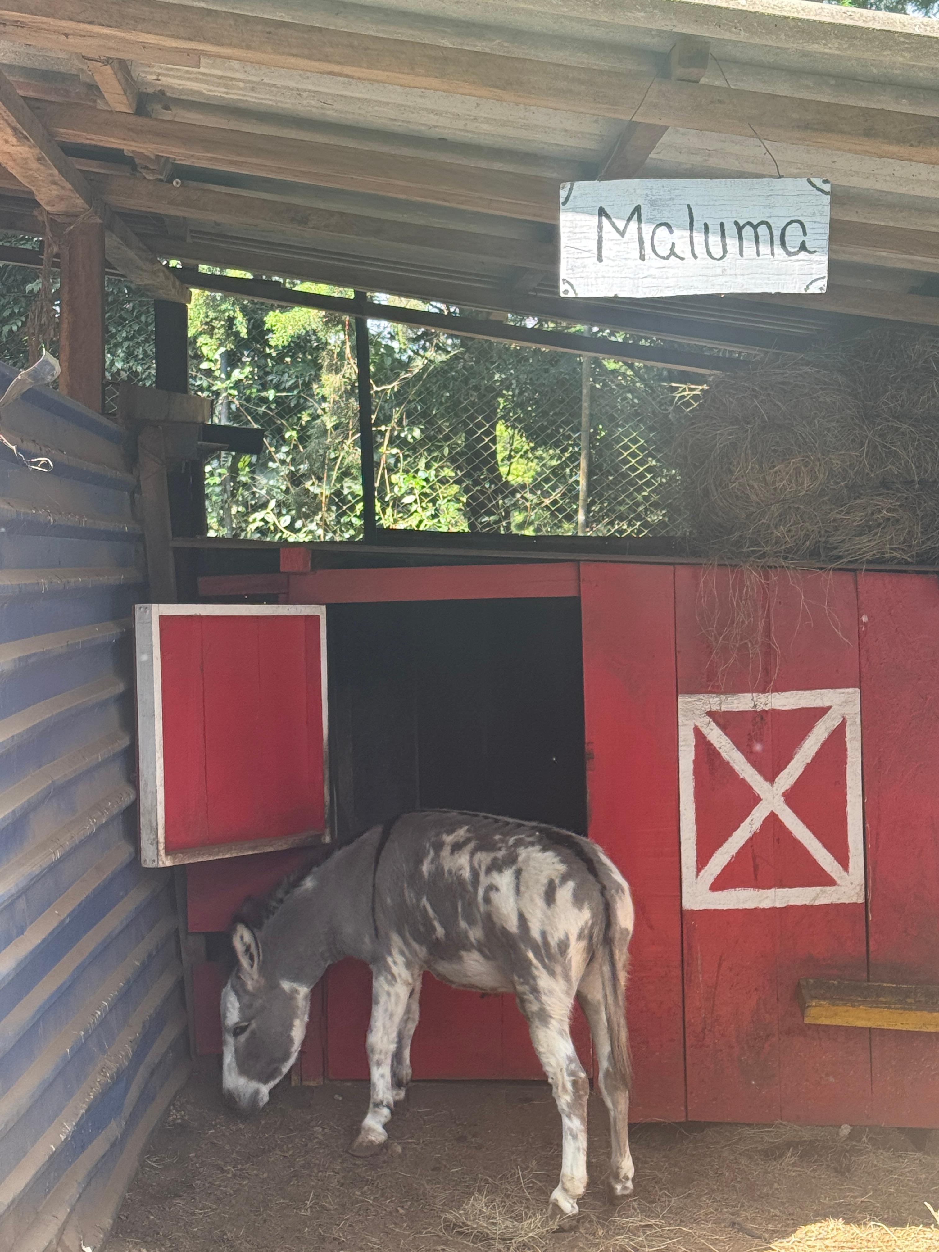 Hotel has a small zoo