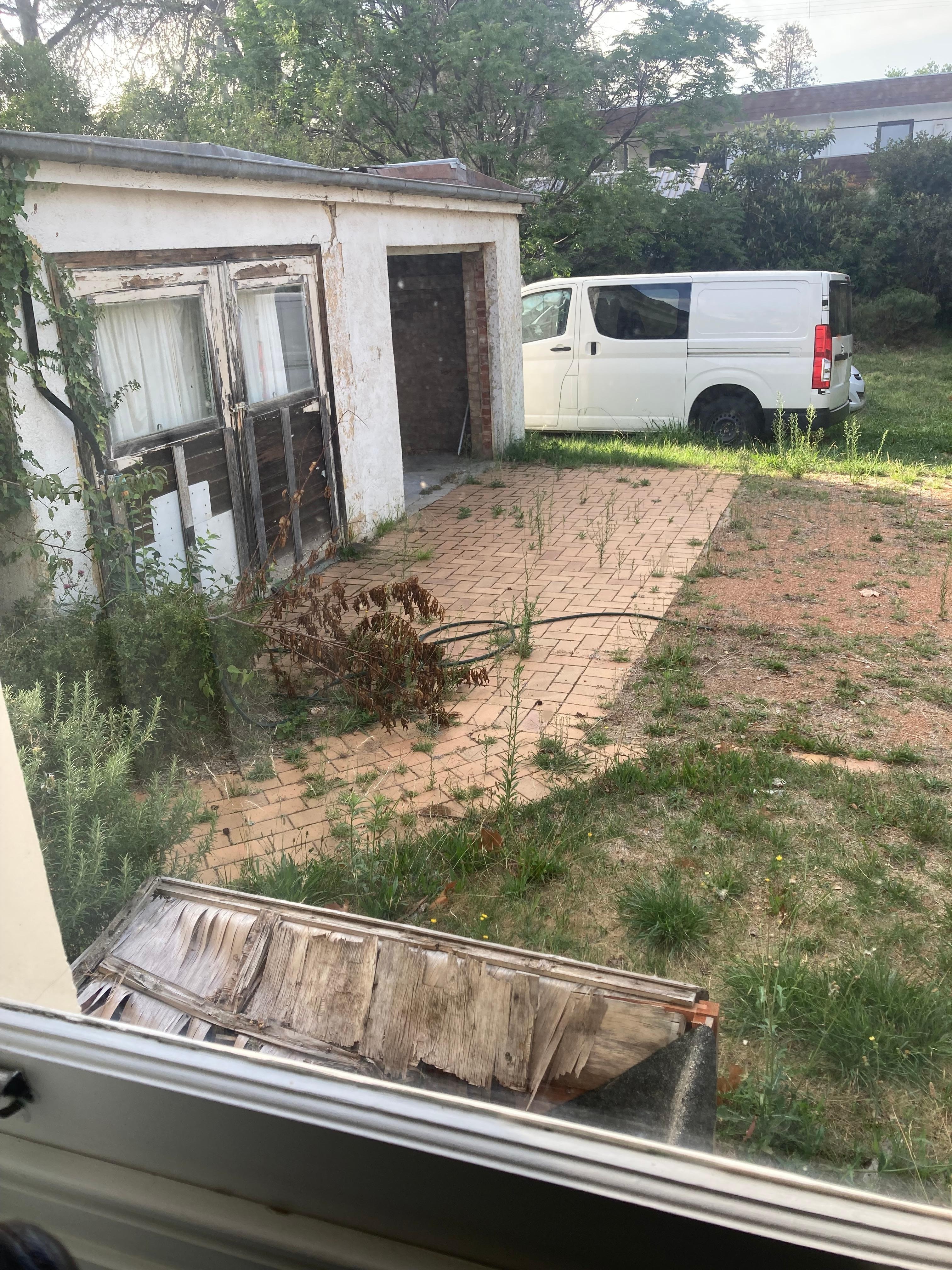 View from living room of backyard 