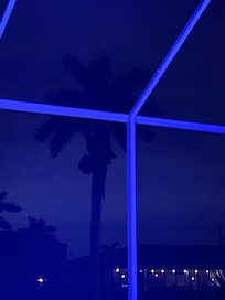 perfect evenings sitting by the pool with a breeze rustling the palms