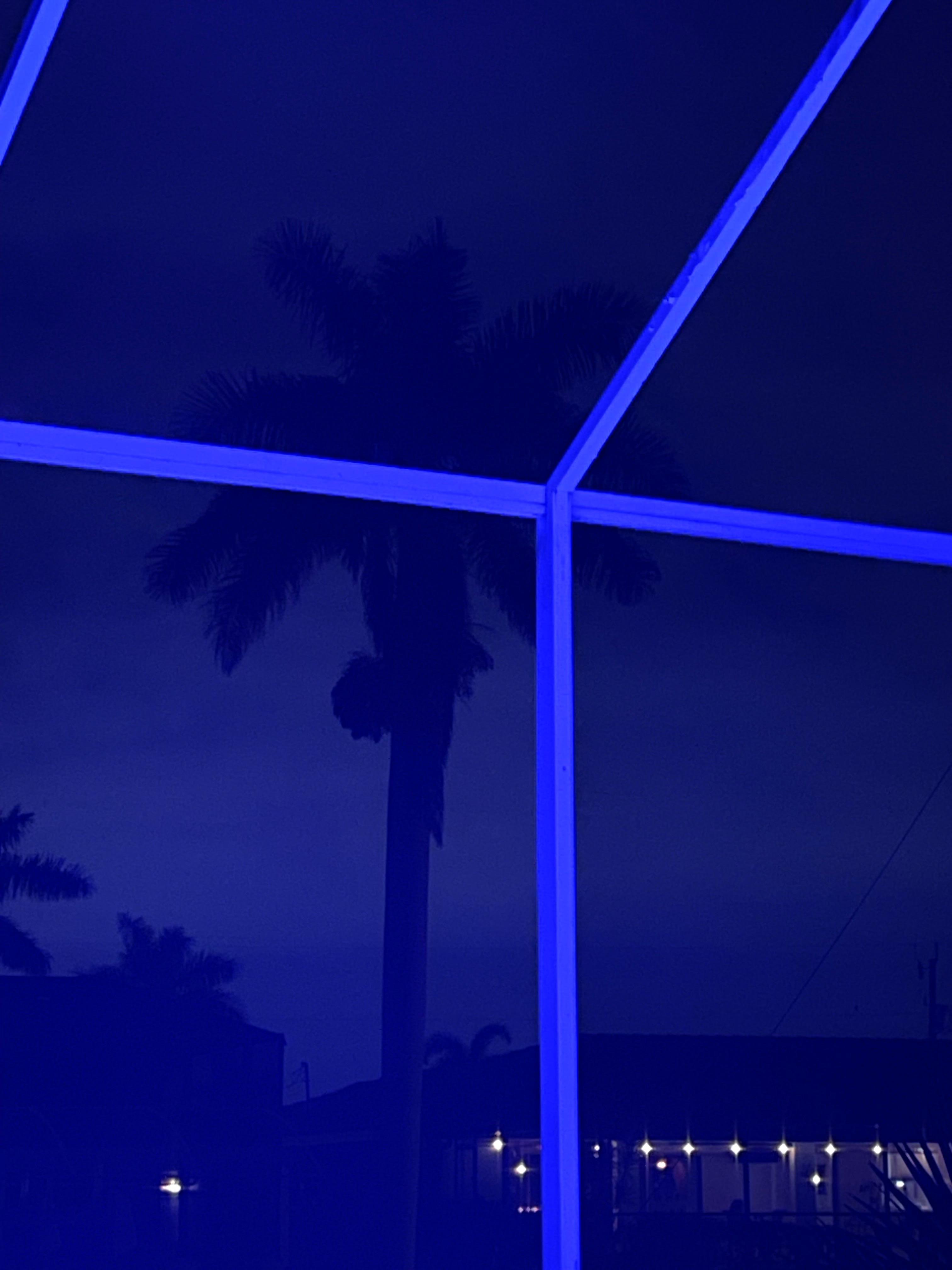 perfect evenings sitting by the pool with a breeze rustling the palms