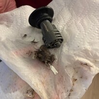 Found when sink wasn’t draining