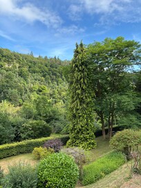 View from the property