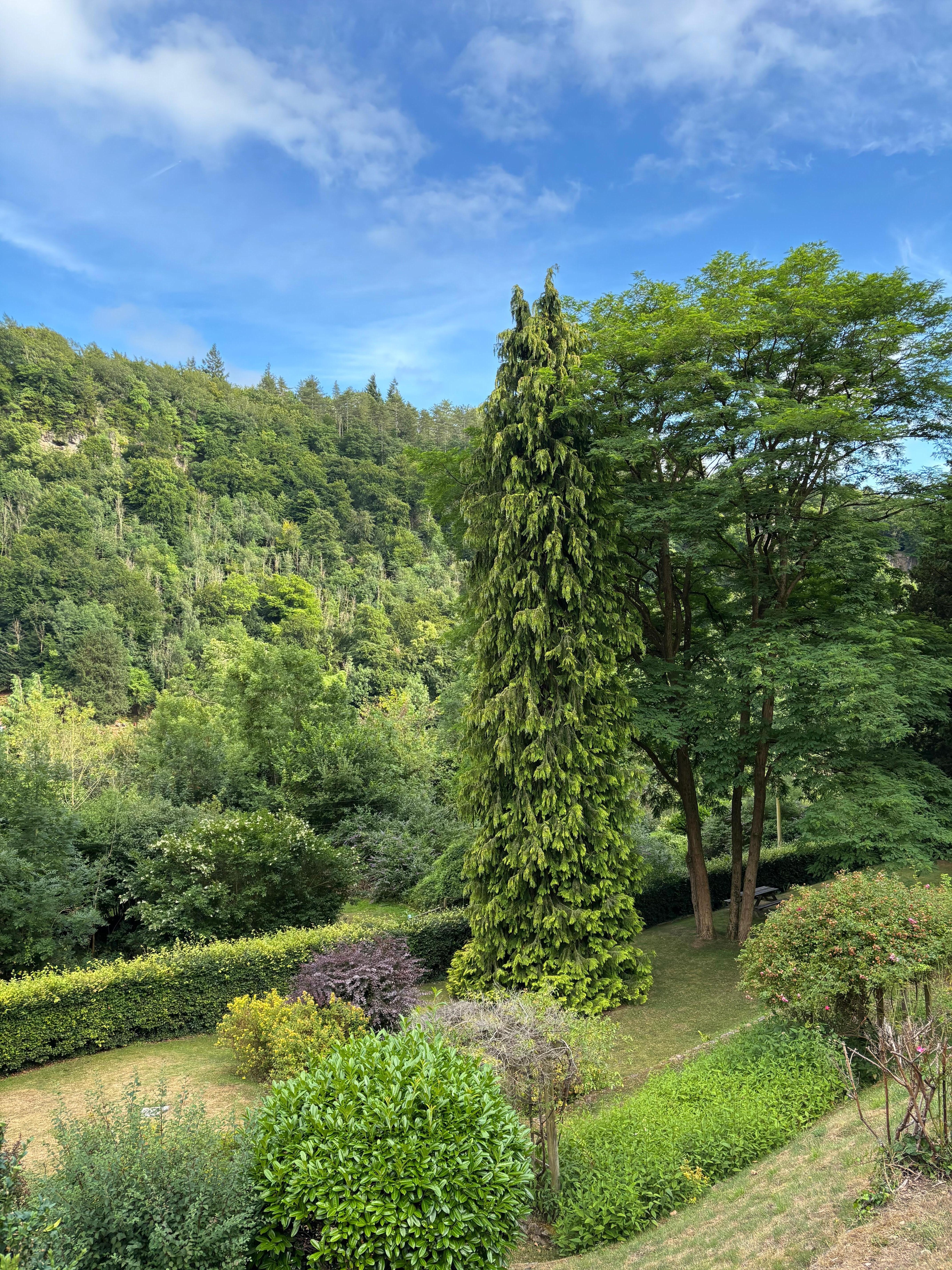 View from the property