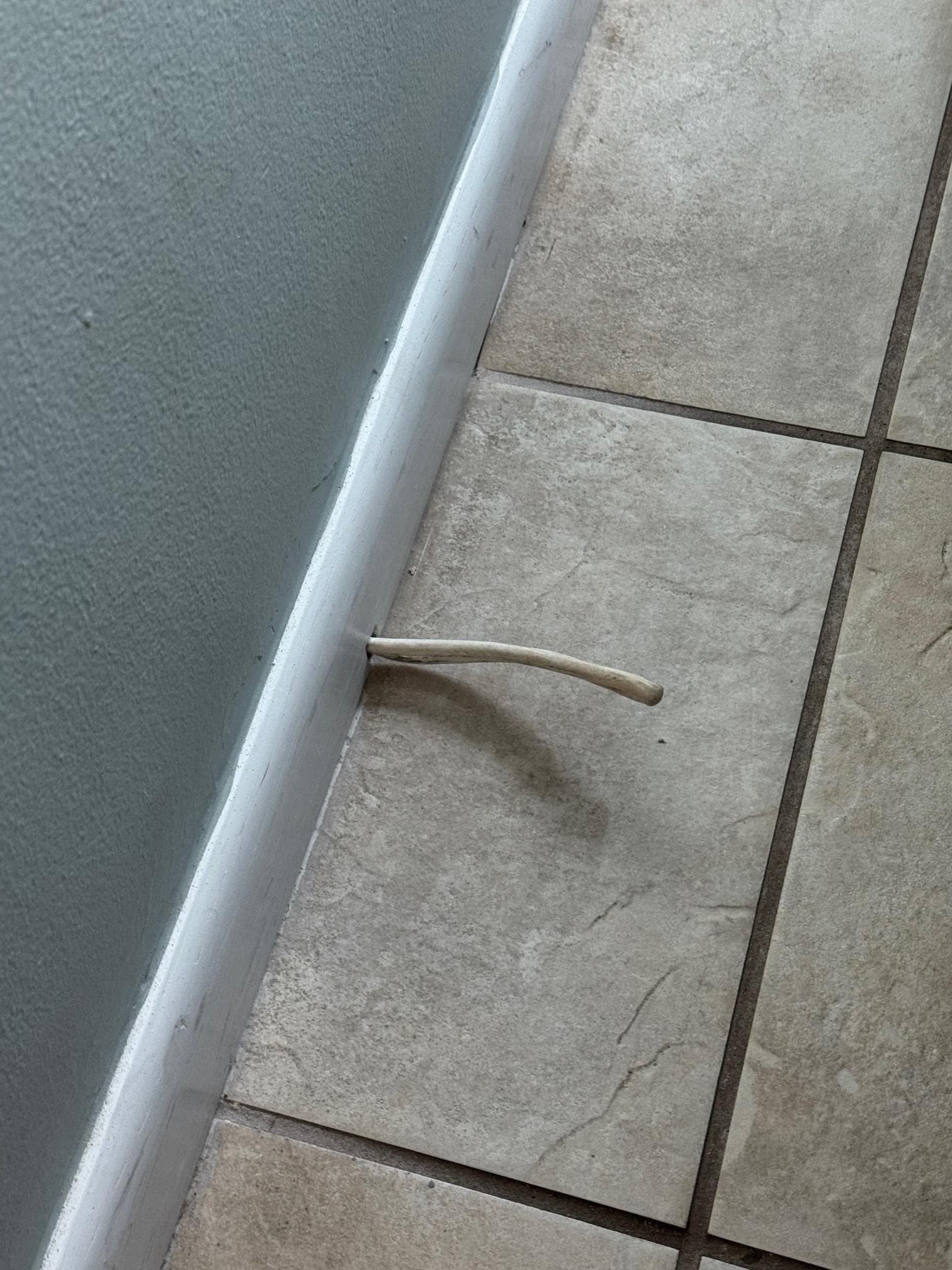 Elecrical Wiring That Will Trip You - Hope It's Not Live