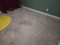 Dog feces on floor