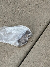 Bag of feces