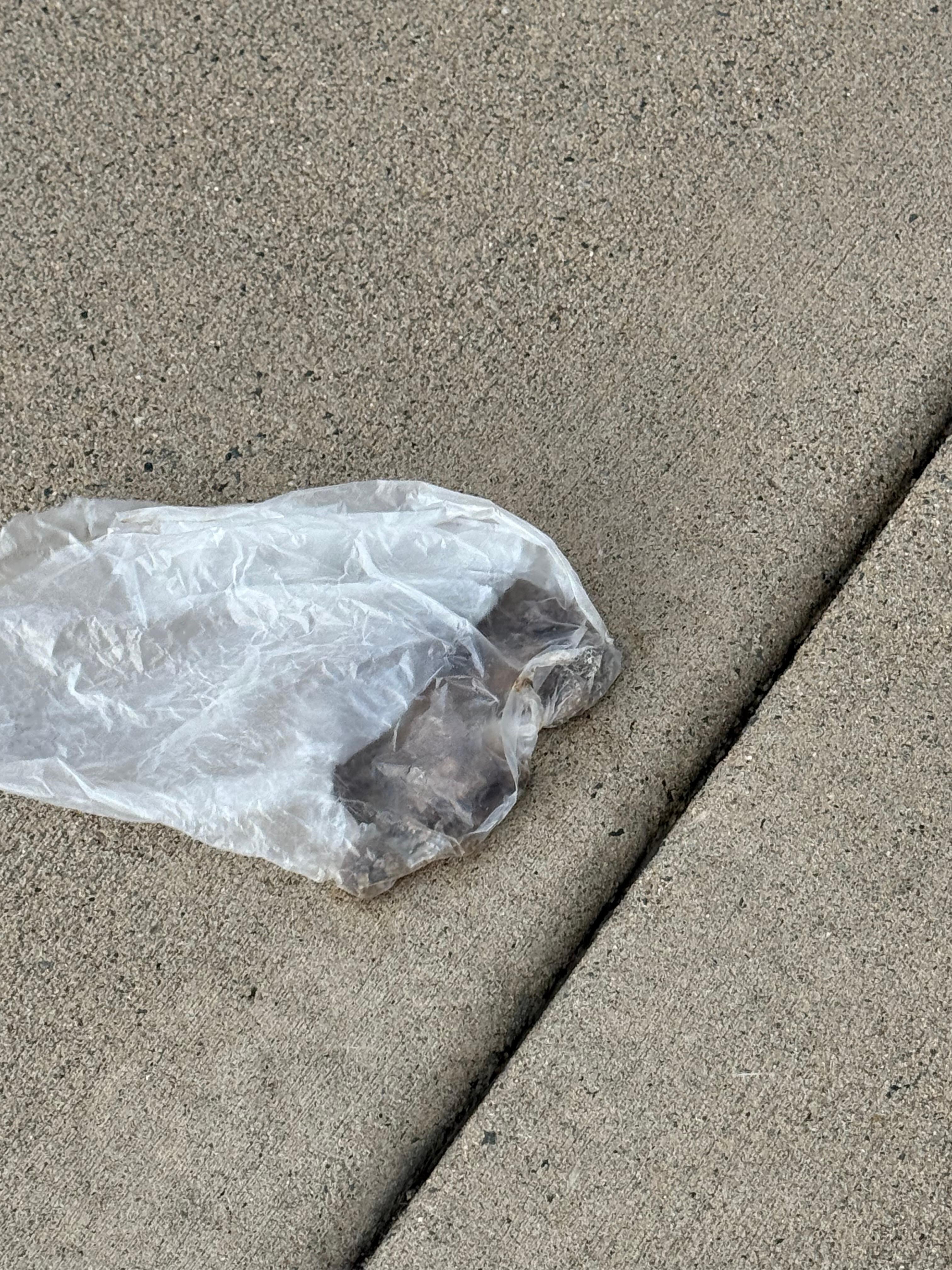Bag of feces