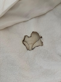 mattress protector with a burnt hole