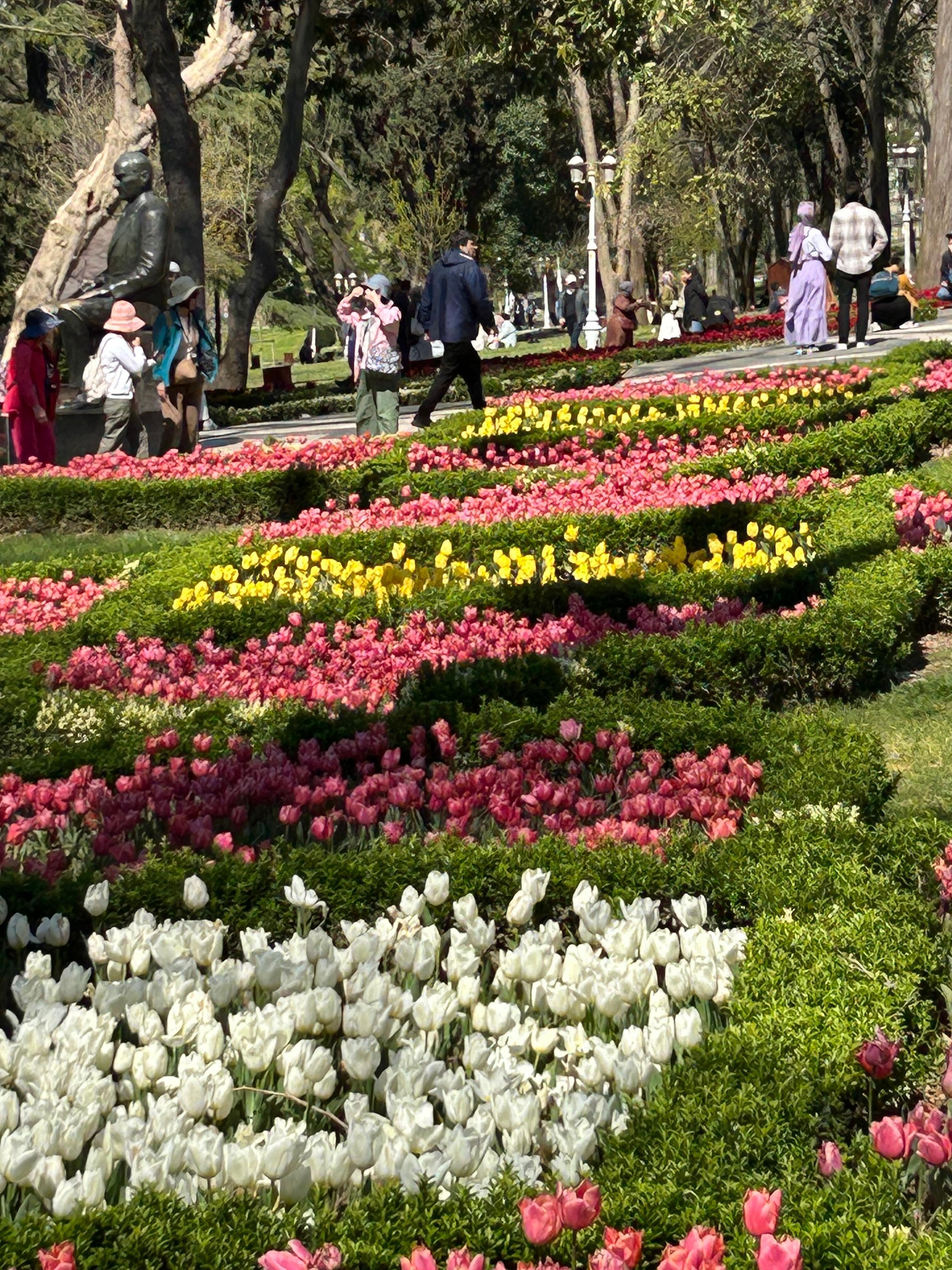 April is tulip time❤️