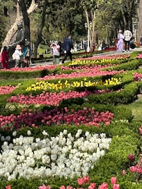 April is tulip time❤️
