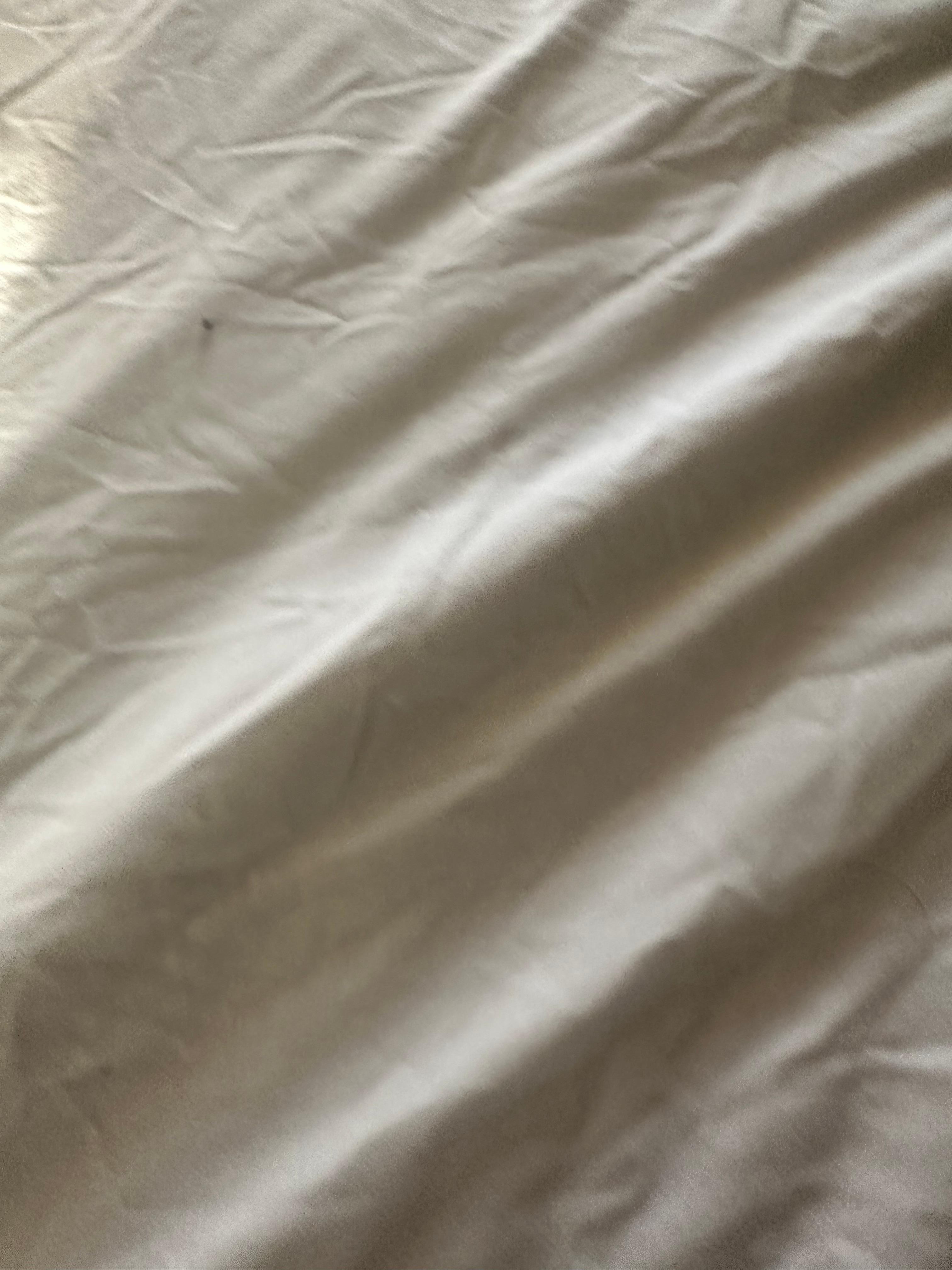 Hair under blanket on sheets