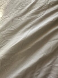 Hair under blanket on sheets