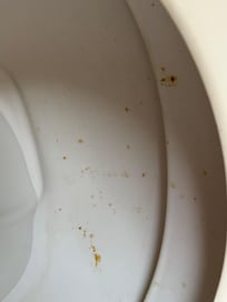toilet not cleaned