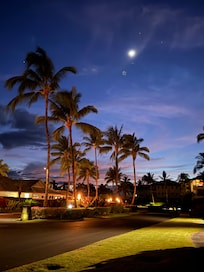 Property grounds at night