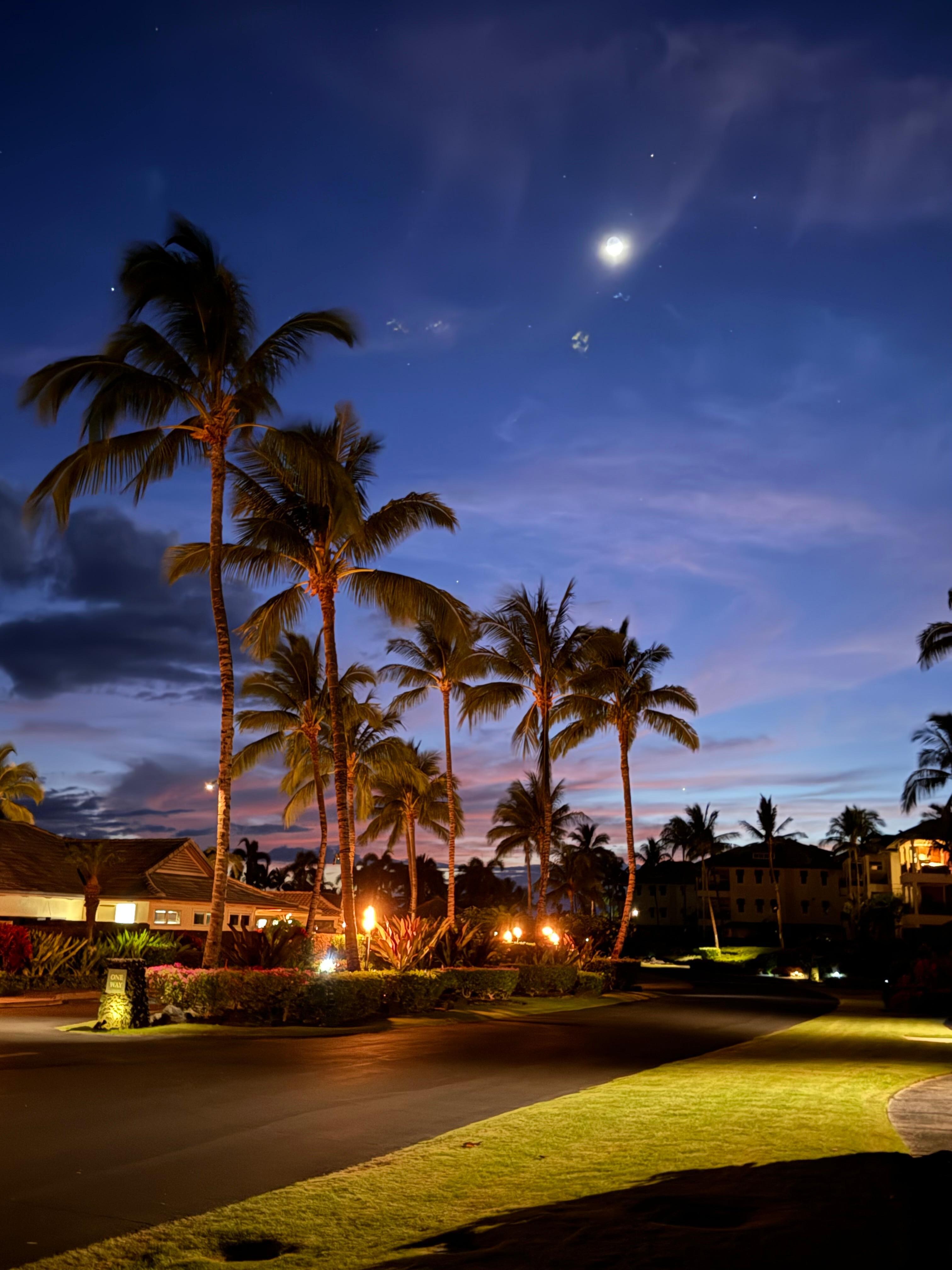 Property grounds at night