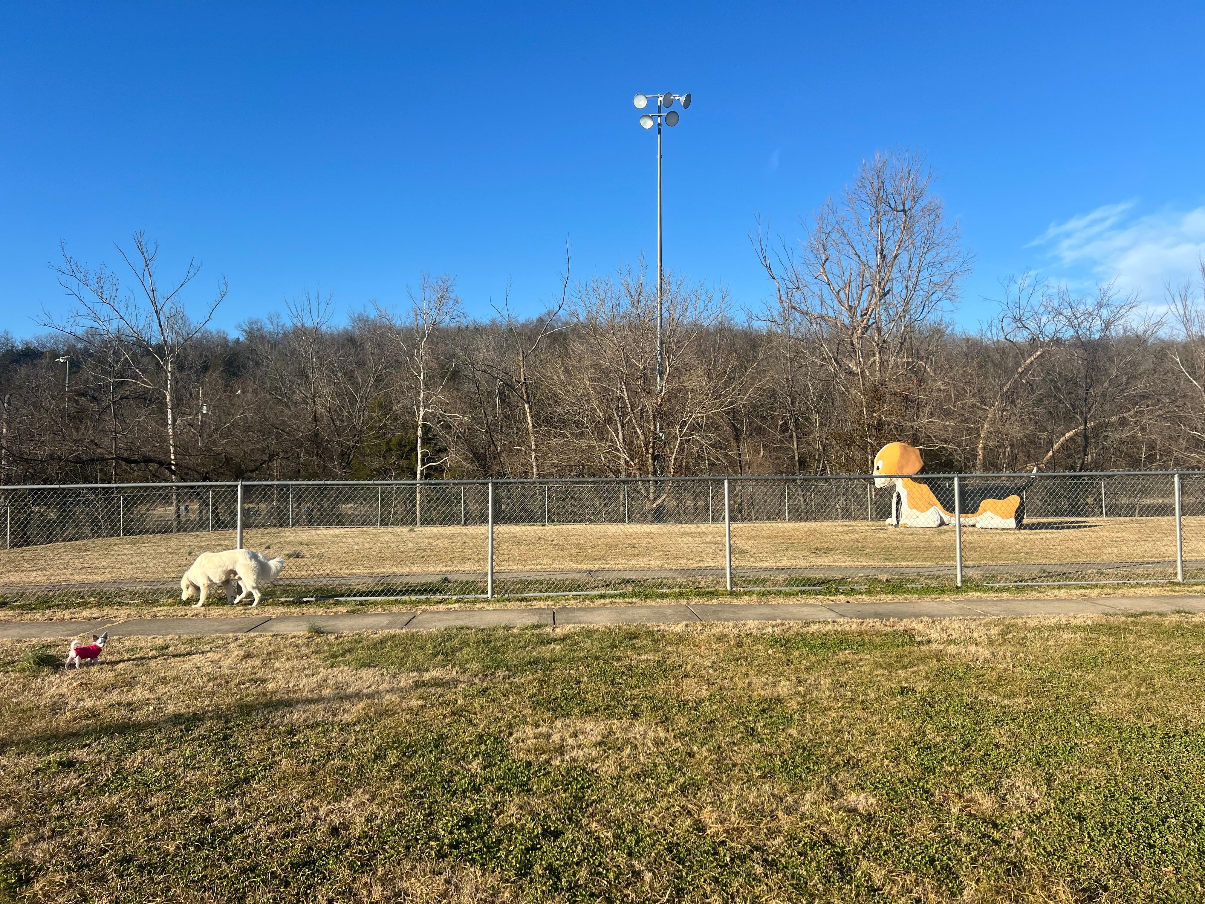 Nearby dog park