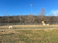 Nearby dog park