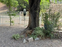 Large, fenced, dog-friendly front-yard with pet waste clean up station, shady trees and toys!