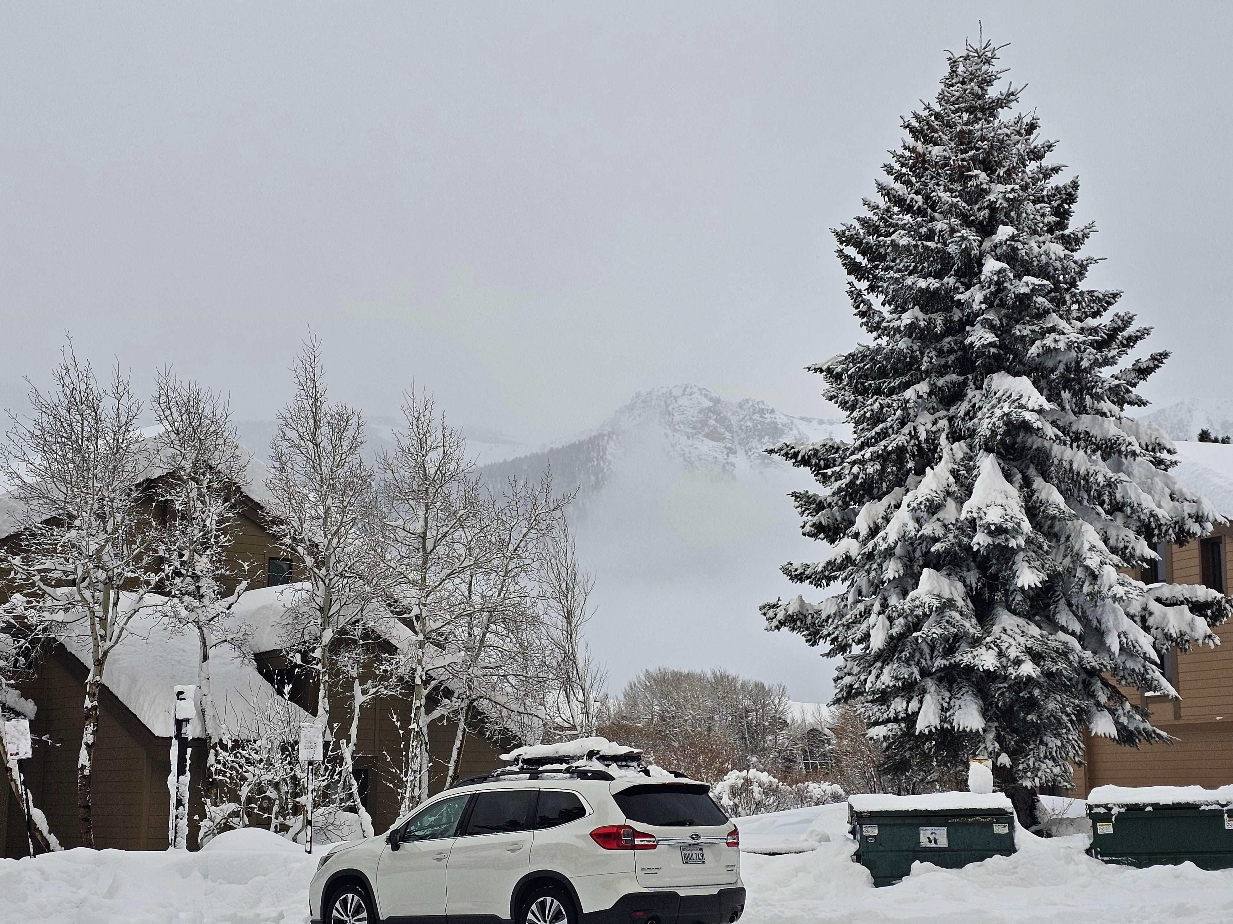 the view from the outside