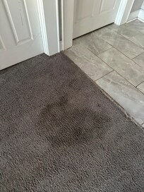 Filthy carpets
