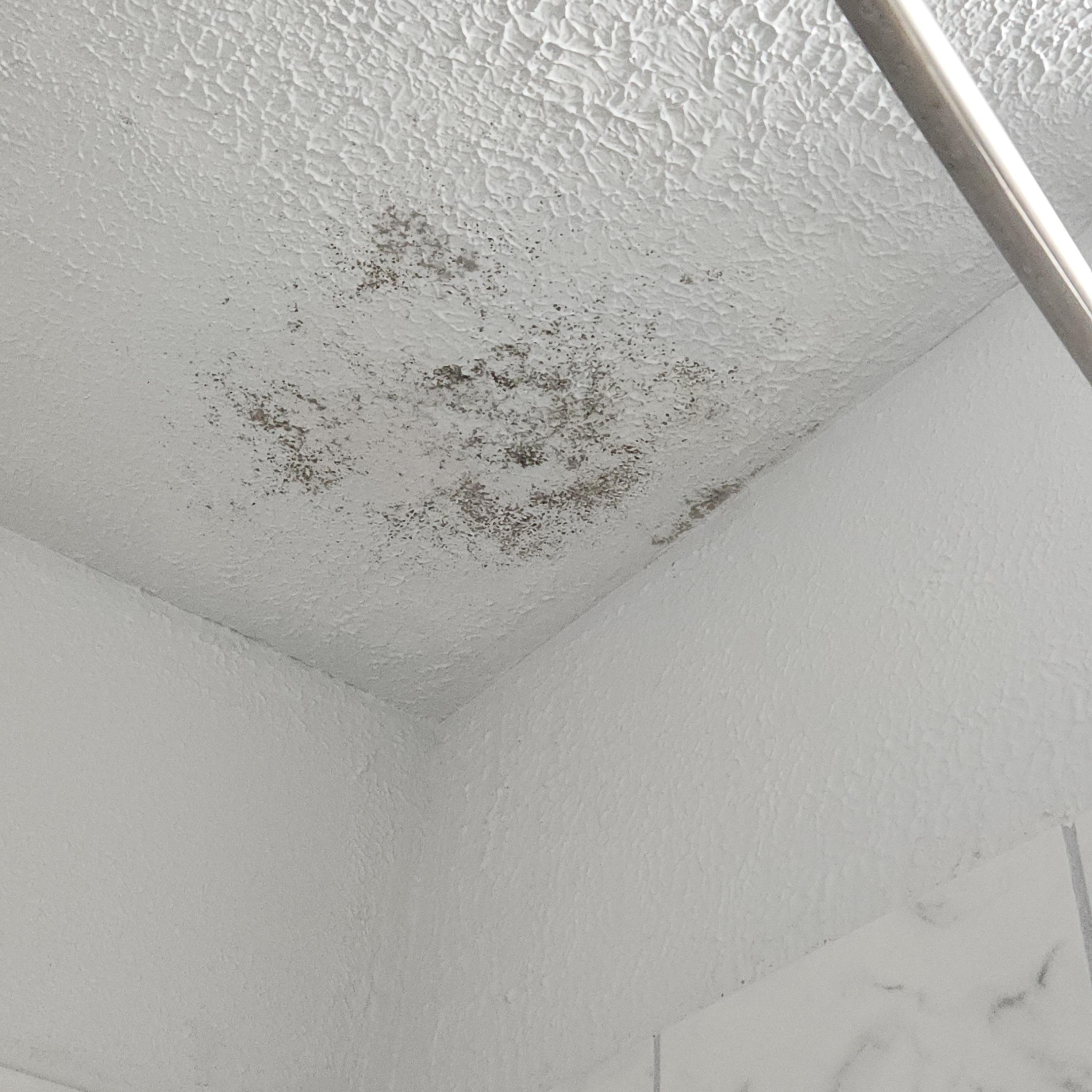 Cracked tiles in the bathroom. 