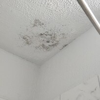 Cracked tiles in the bathroom.