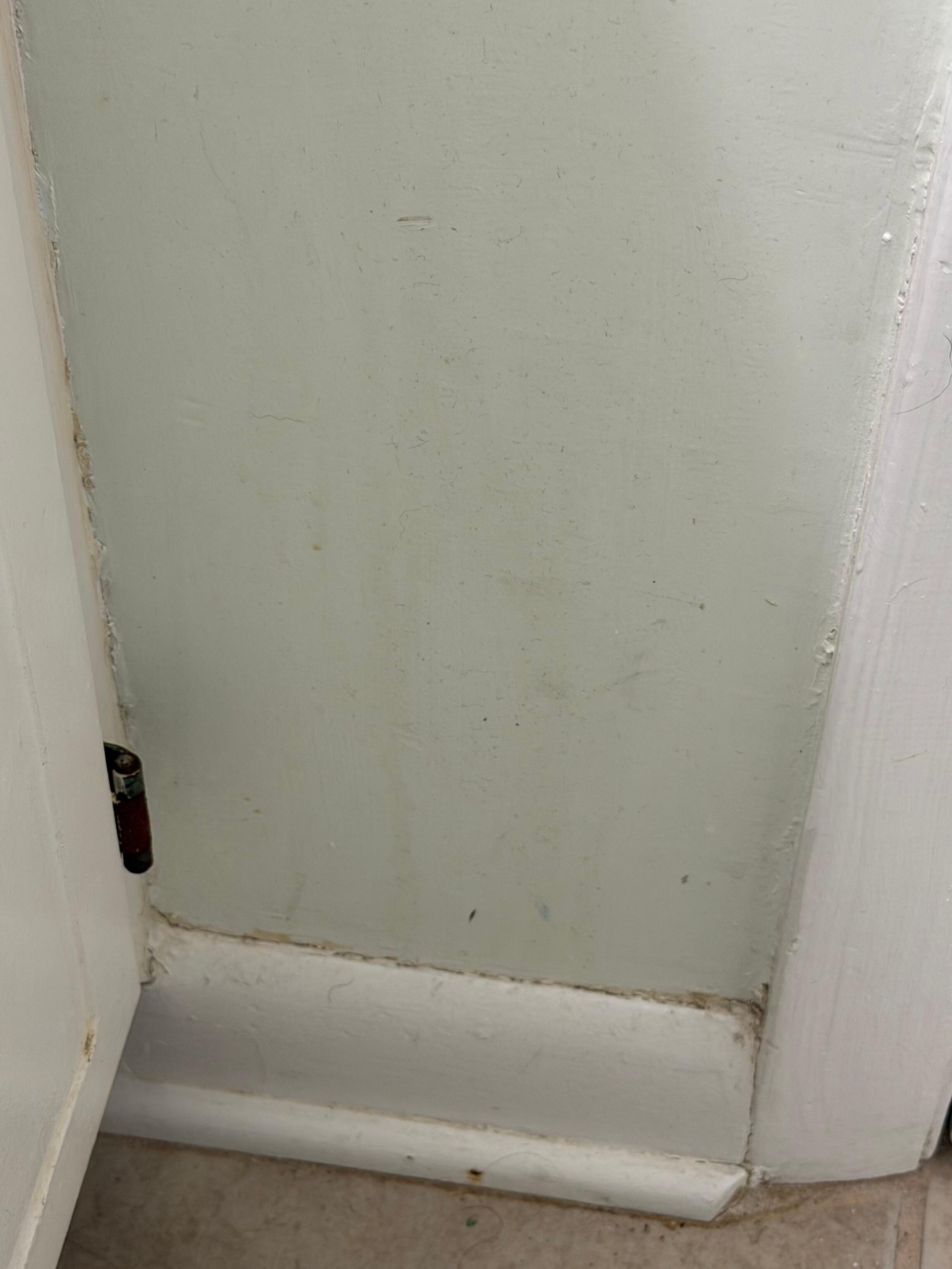 Something on bathroom wall 