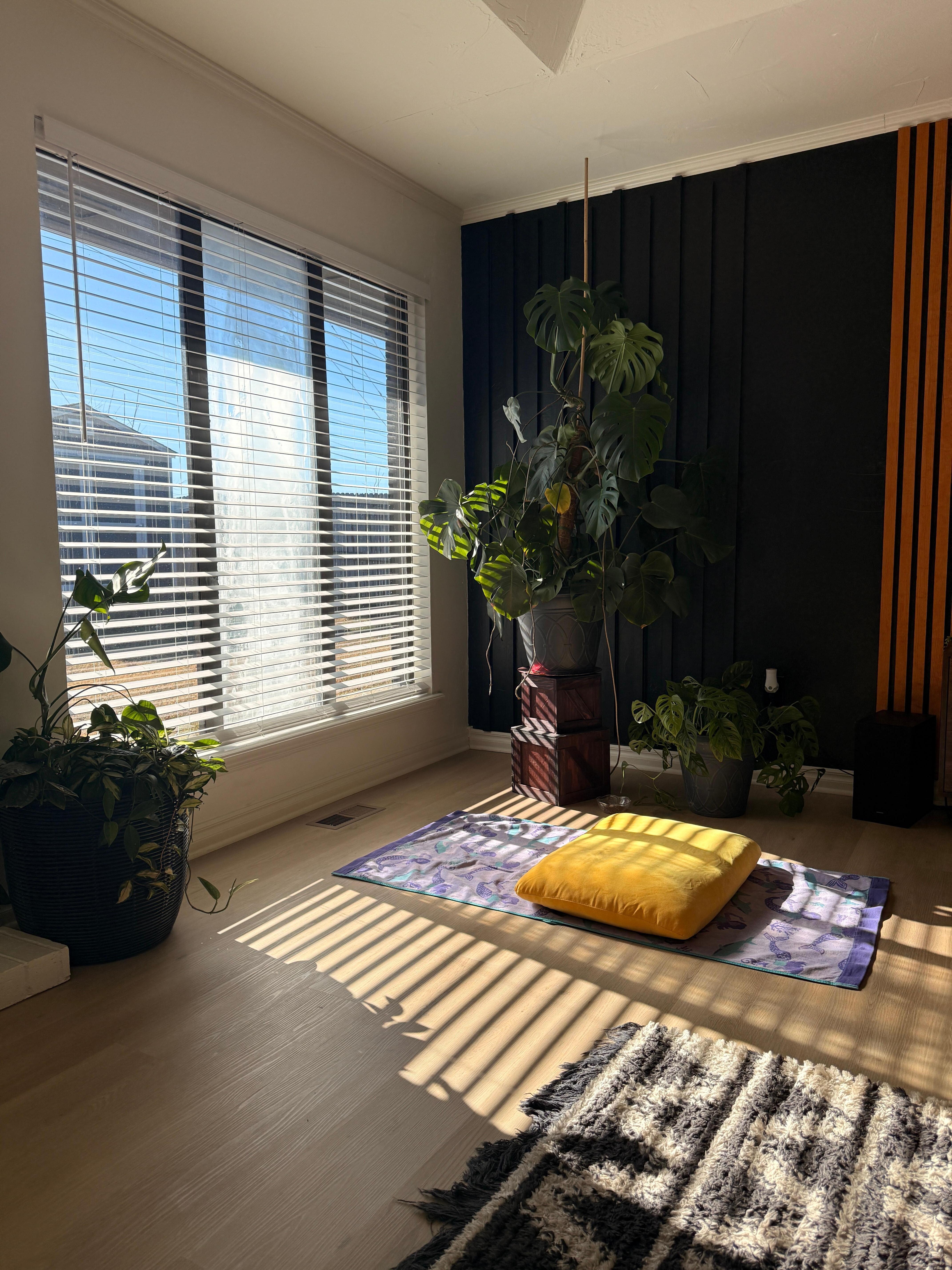 Great sunlight for my meditation.