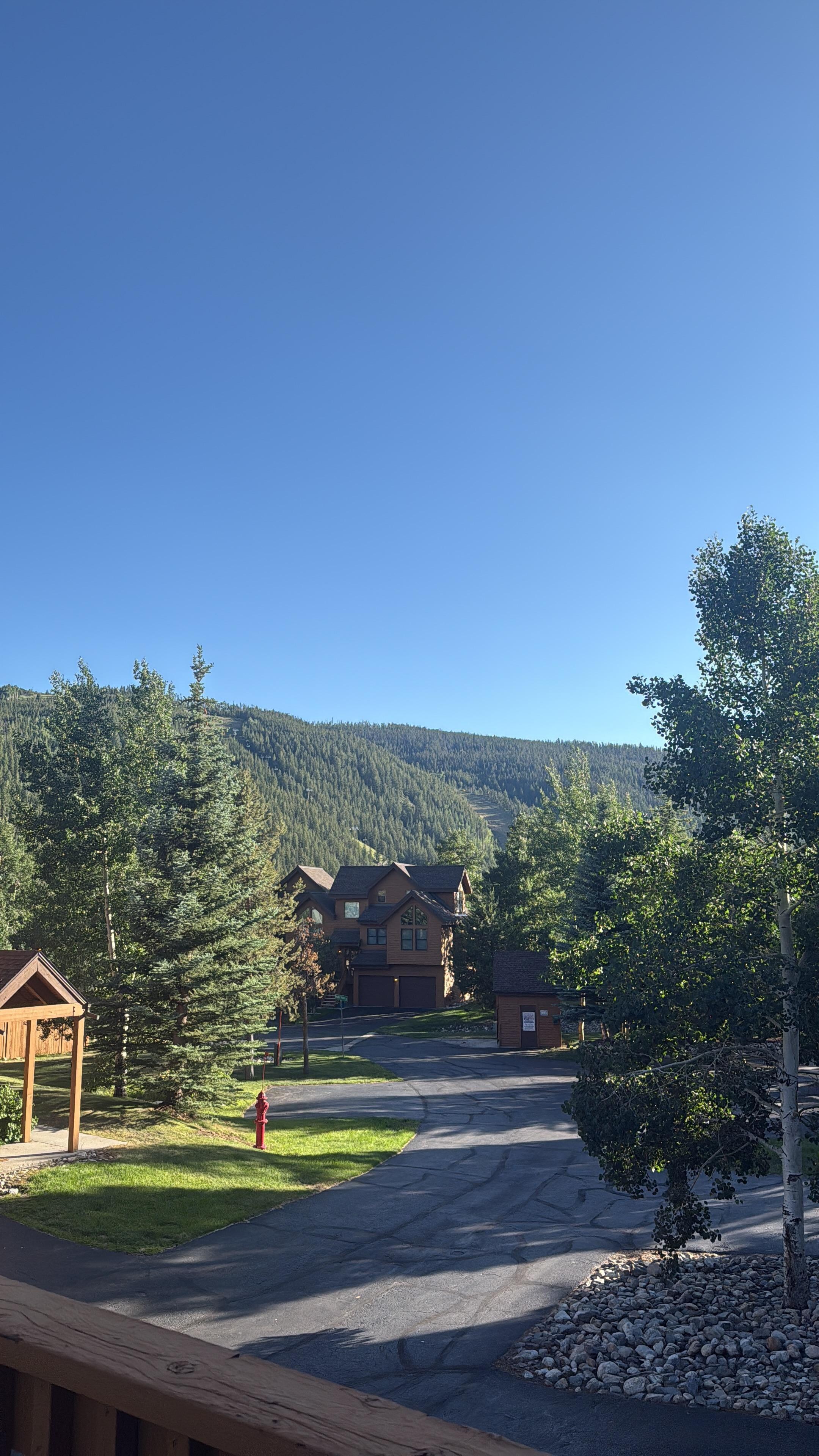 Views from the patio