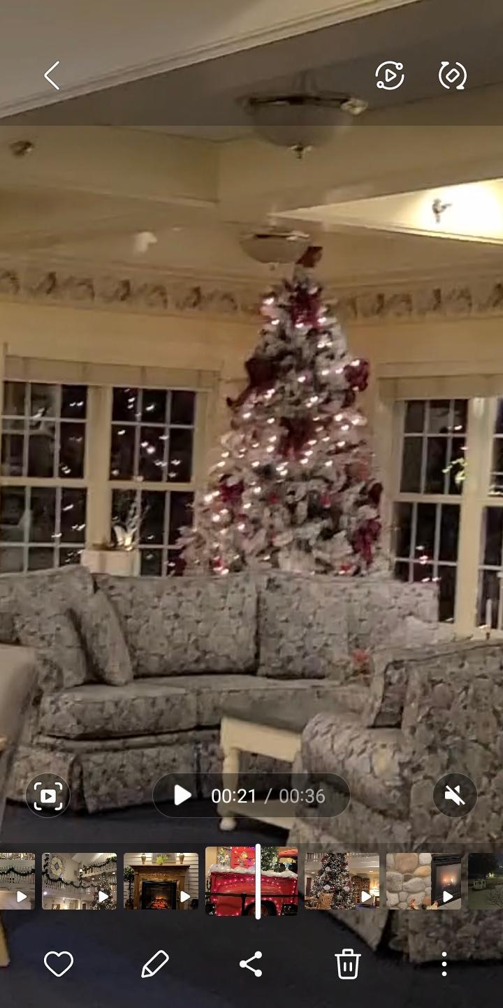 Absolutely Beautiful 