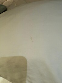 Couldn’t upload the video to show better but when I removed sheets there was more hair , stains and dried up dog treats underneath