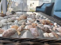 Lots of great shelling at Pass-a-Grille Beach