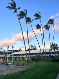 Green space and nicely landscaped!