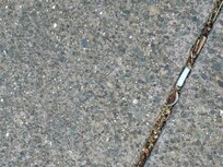 one of the many man cigarette butts lining the walkway at this “smoke free” property.