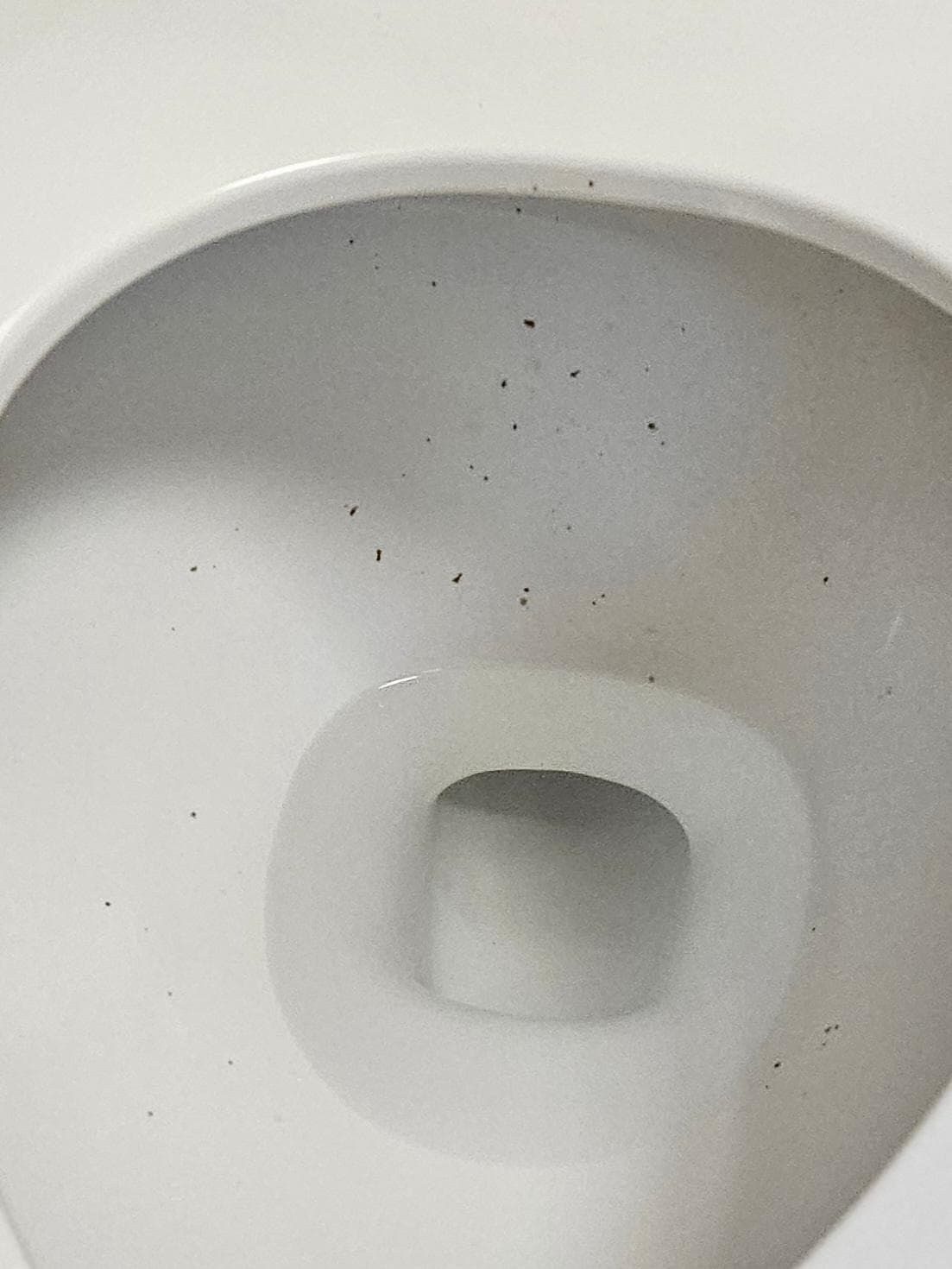 filthy toilets in lobby restroom. told staff twice on two differnt days. never cleaned.