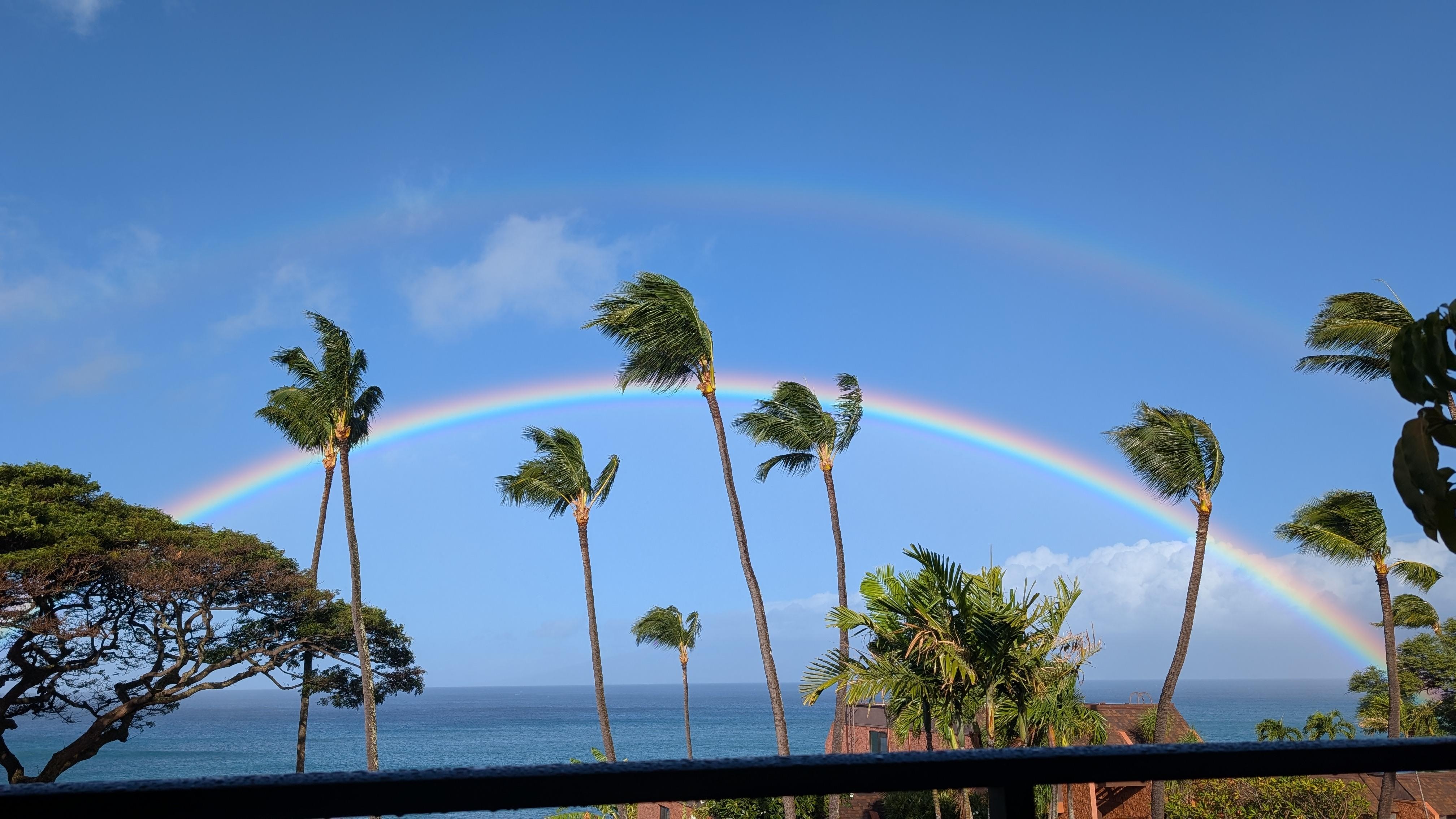 View from lanai