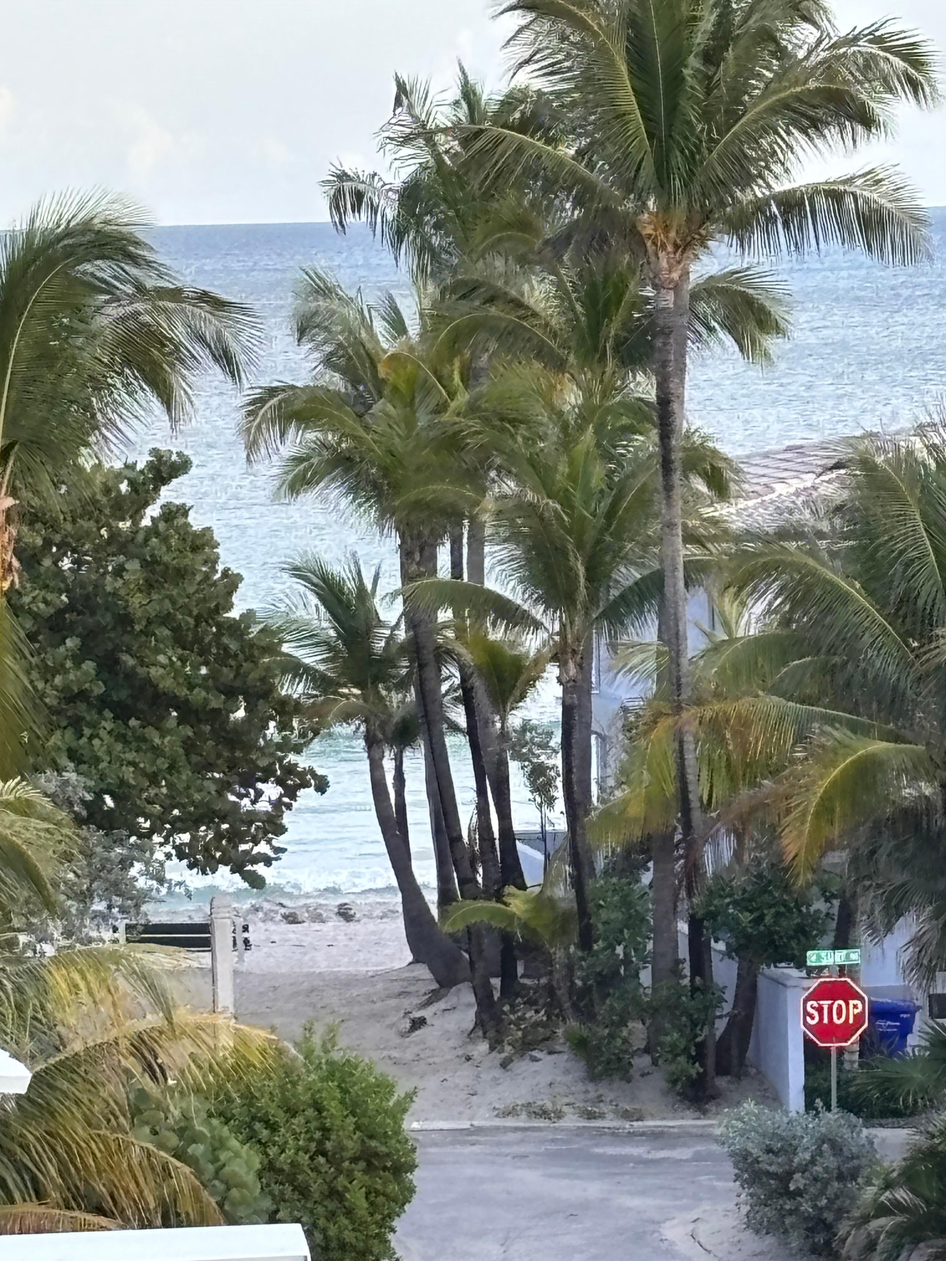 Beach down the street