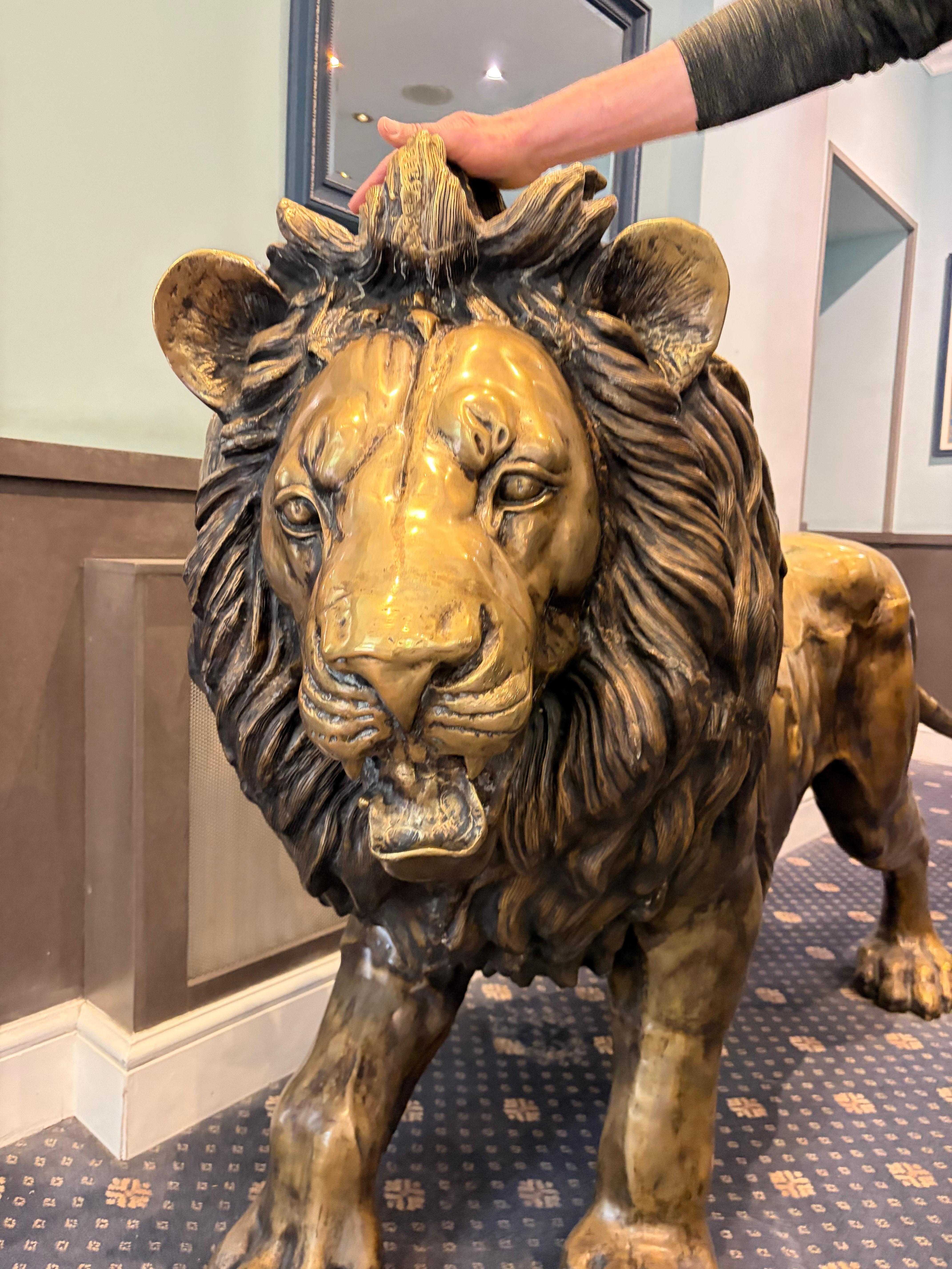 Lobby lion
