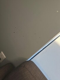 What looks to be blood on the wall