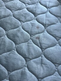 Blood stains on the mattress