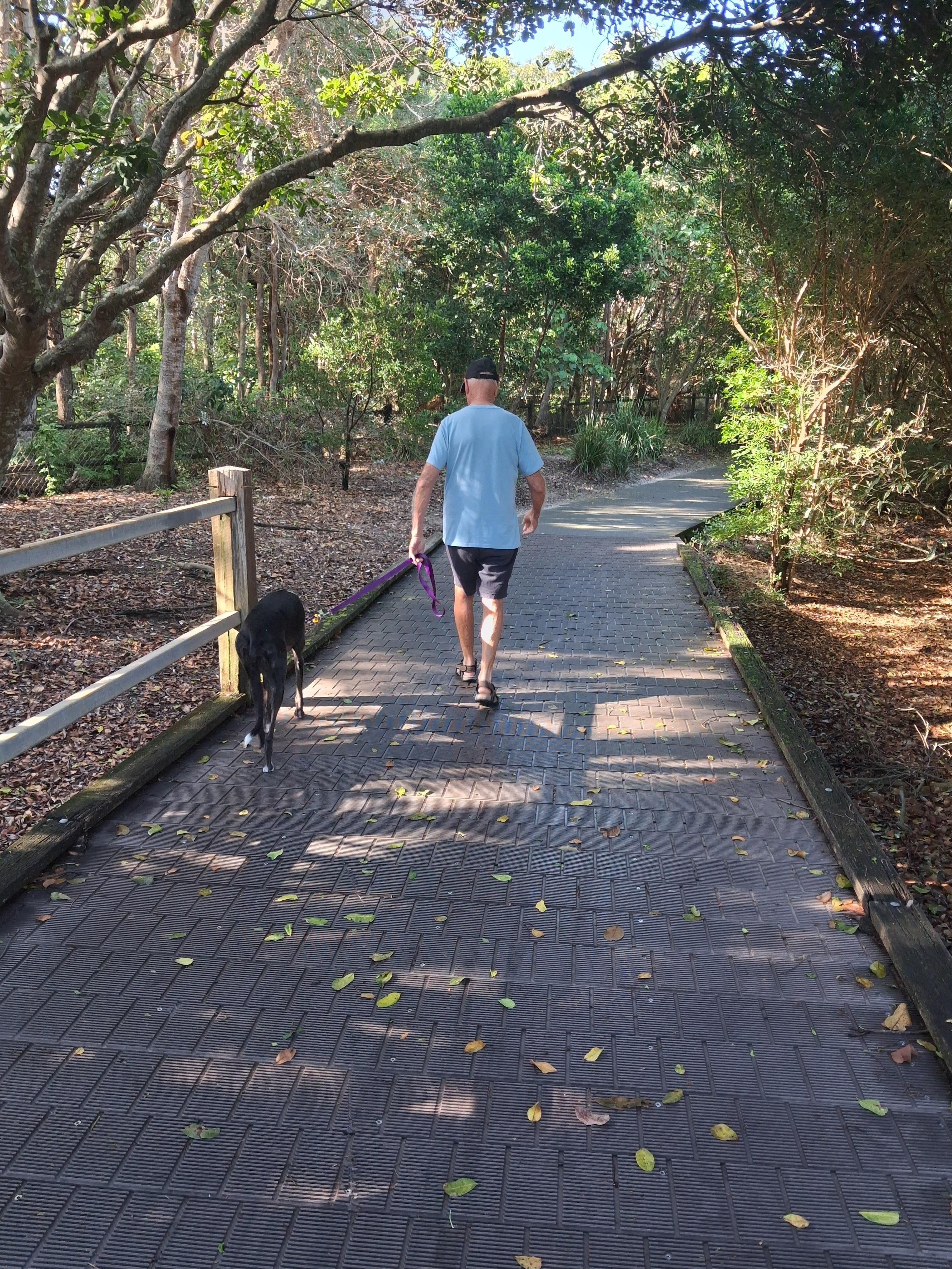 walk to Cotton Beach with Jackie, the greyhound for her first visit to a beach.
So nice!