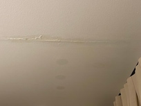 Ceiling leak
