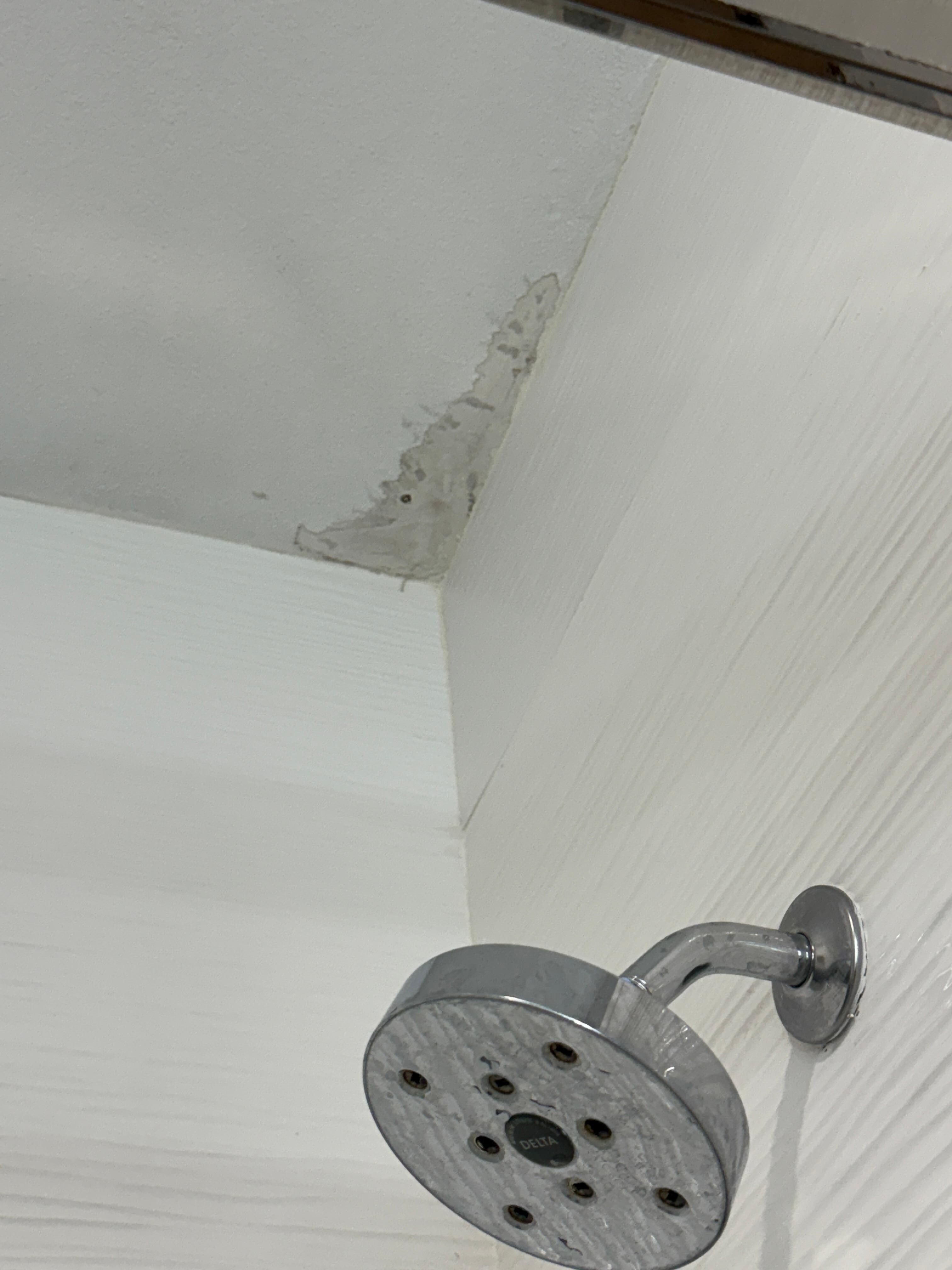 Water damage and active leak in shower ceiling.