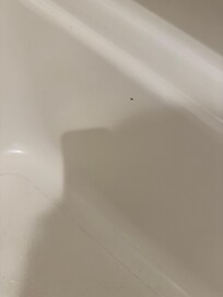 bug and dirt in tub
