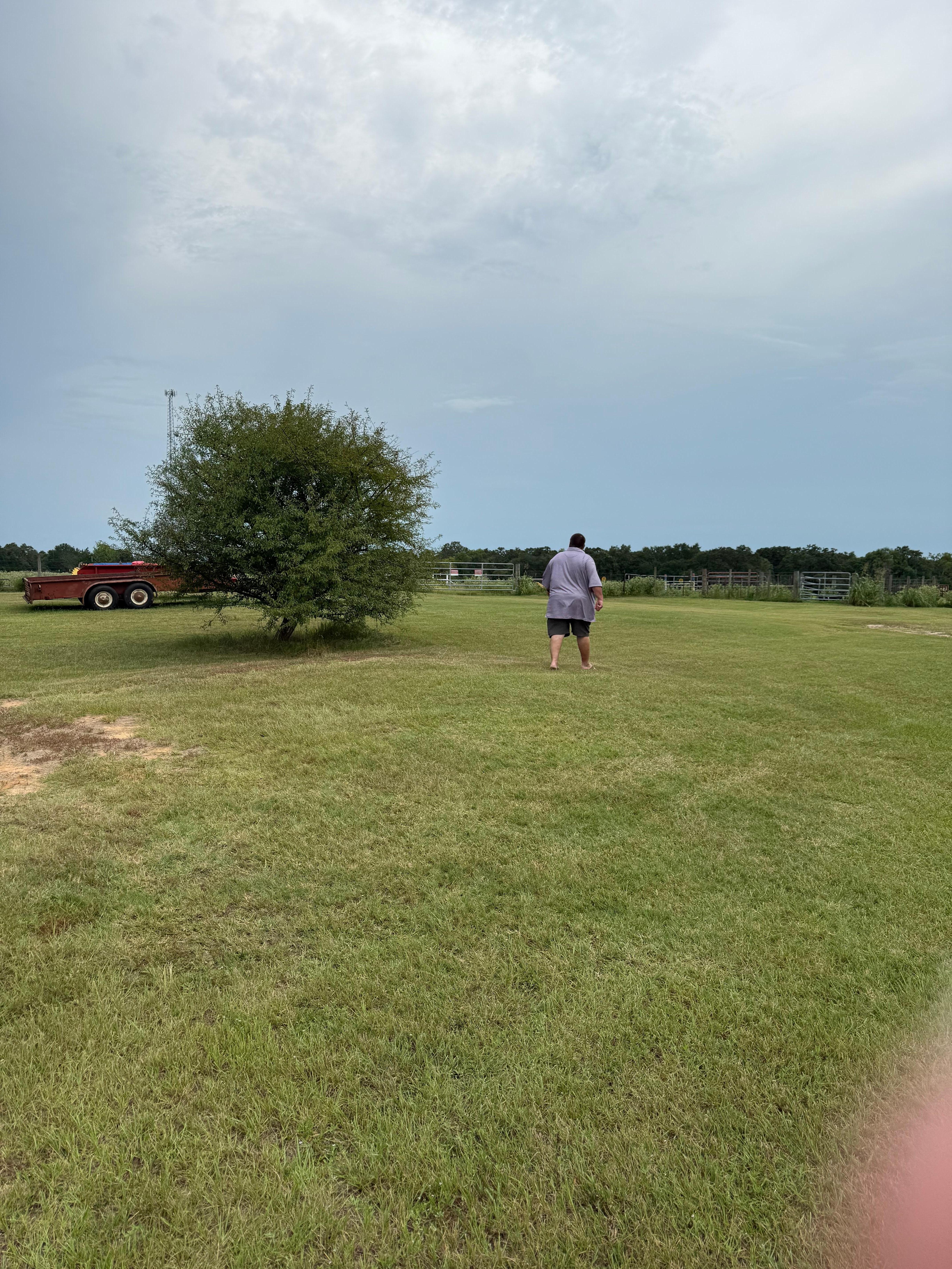 Looking for the cow, never found him