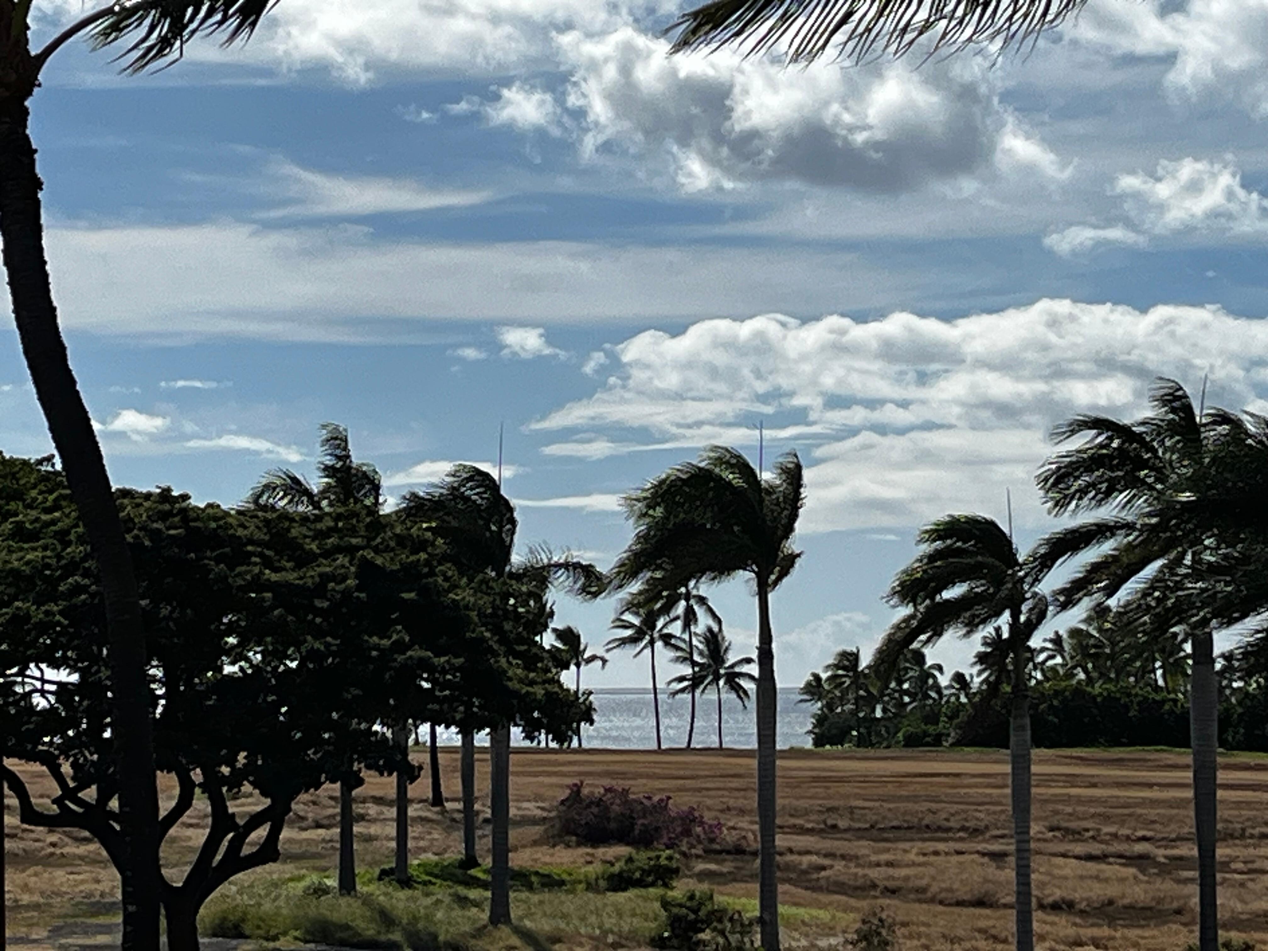 View from lanai